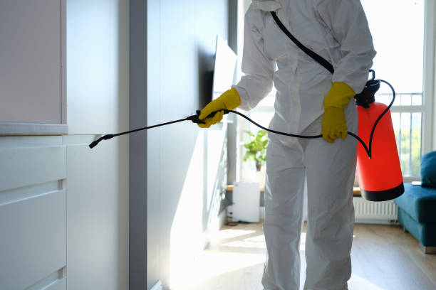 Best Basement Mold Removal  in Trinity, AL