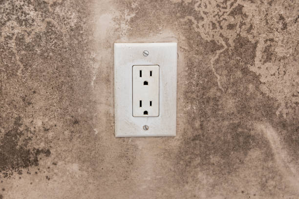 Best Dehumidification Services  in Trinity, AL