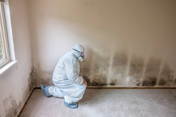 Best Biohazard Mold Removal  in Trinity, AL