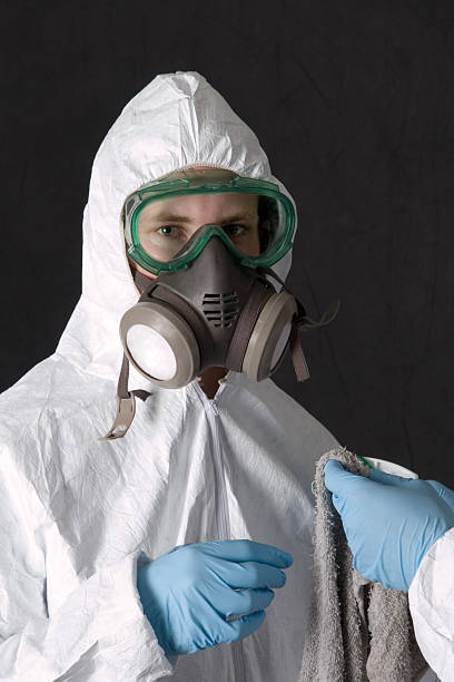 Best Mold Odor Removal Services  in Trinity, AL